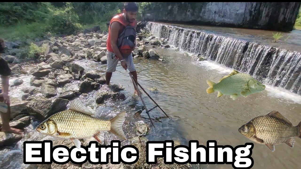 Bahti Nadi Me Ups Se Machli Pakde | Electric Fishing | @Realmoney19