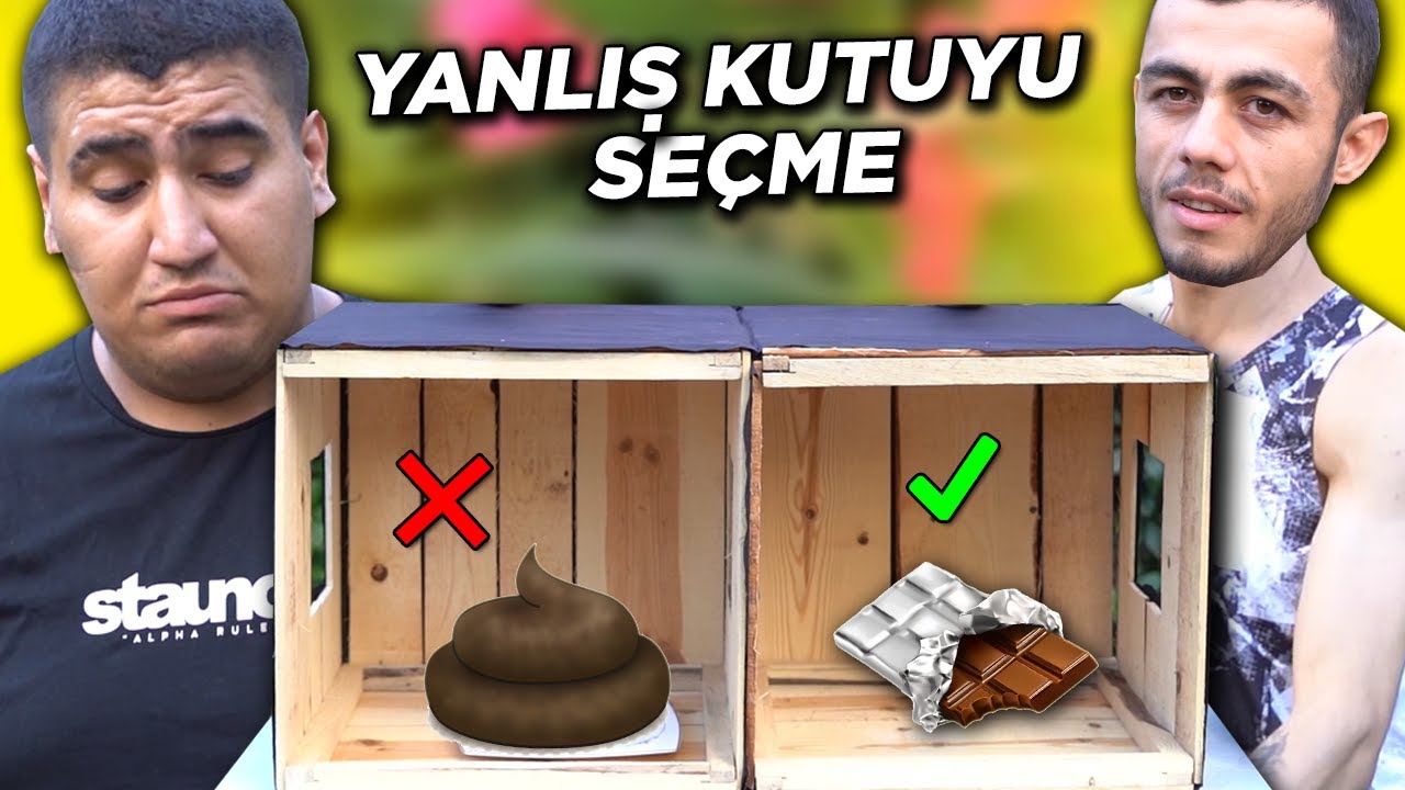 Hayatta Kalma Mücadelesi: Yanlış Kutuyu Seçersen Ne Olur? 🔥