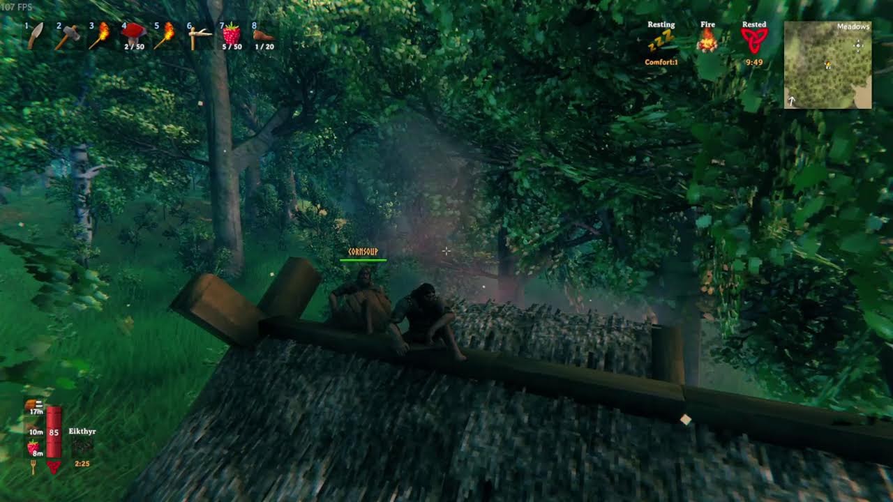 Learning how to Val the Heim