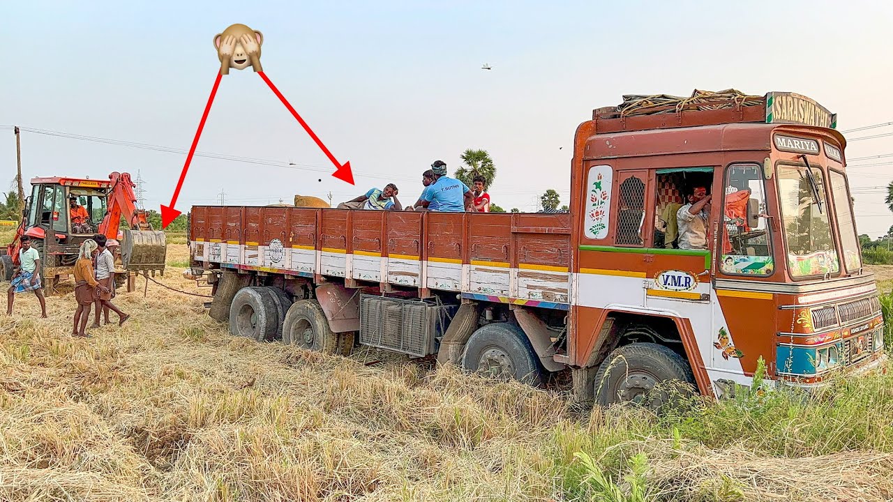 Lorry Paddy Load Stuck in Mud Pulling Out TATA Shinrai JCB | jcb truck | jcb video