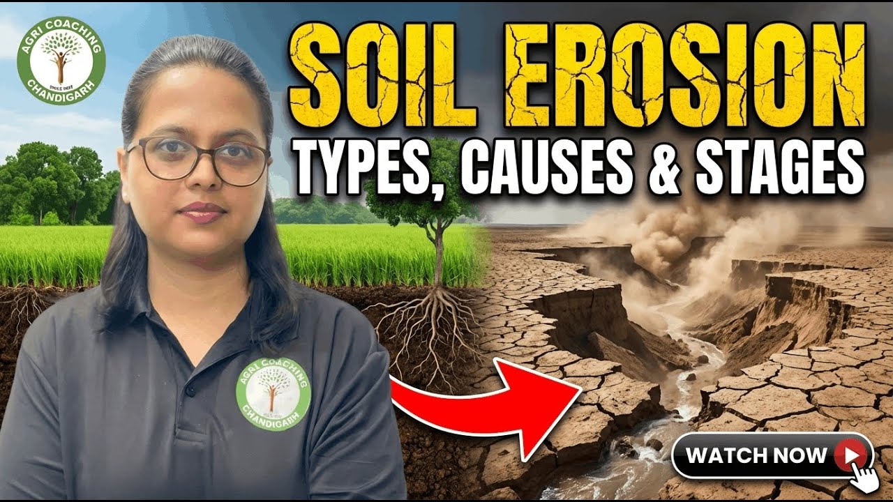 Soil Erosion  | Concept to Selection – Day 10 | (Clear in 15  Min)