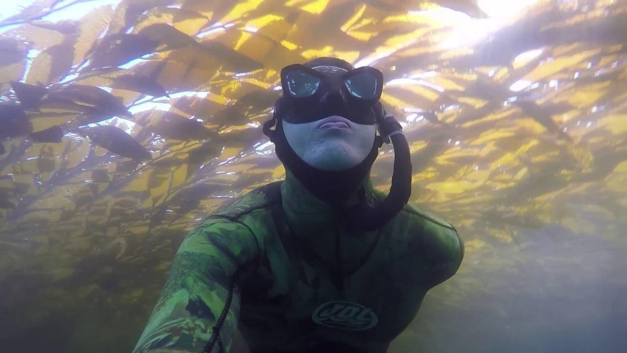 Freediving Vol. 1 I Monterey Bay