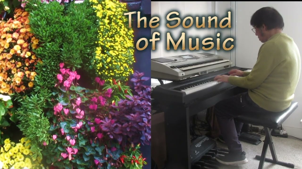 💃 The Sound of Music 💃 (cover)  ,  piano & keyboard music  ,  organist way of playing ,