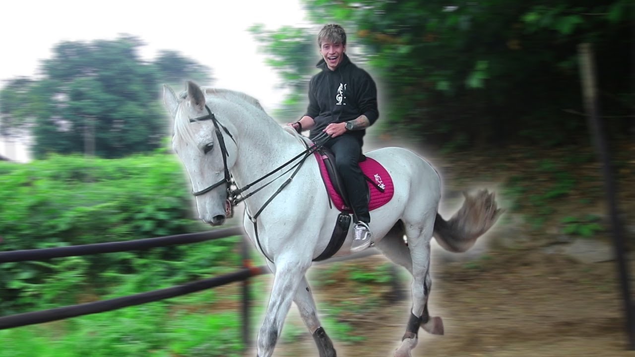 ANDEI A CAVALO PELA PRIMEIRA VEZ