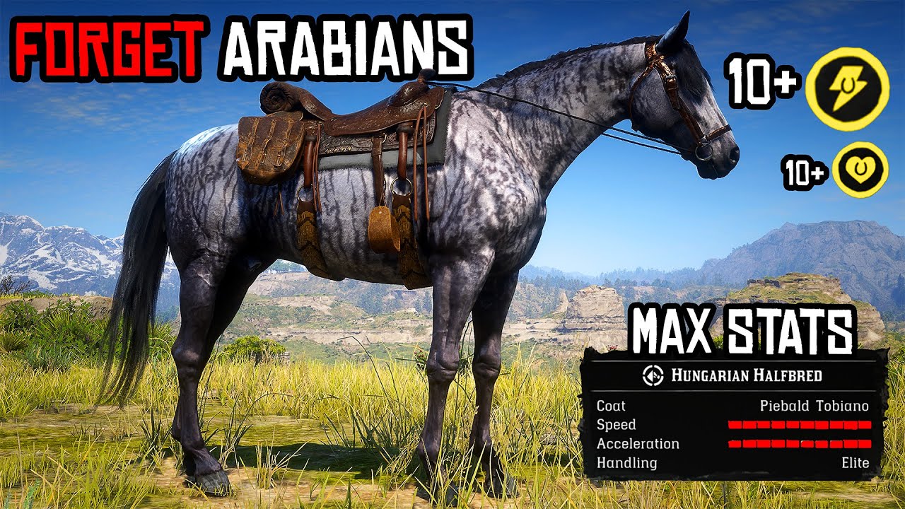 These 5 Horses Are FASTER Than the Arabian in RDR2!