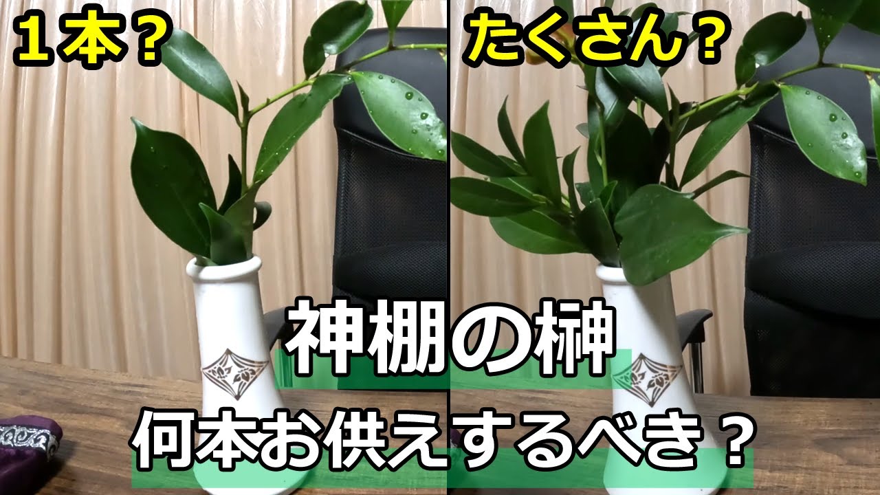 【神棚】榊は何本お供えするべき？ 神札 神社