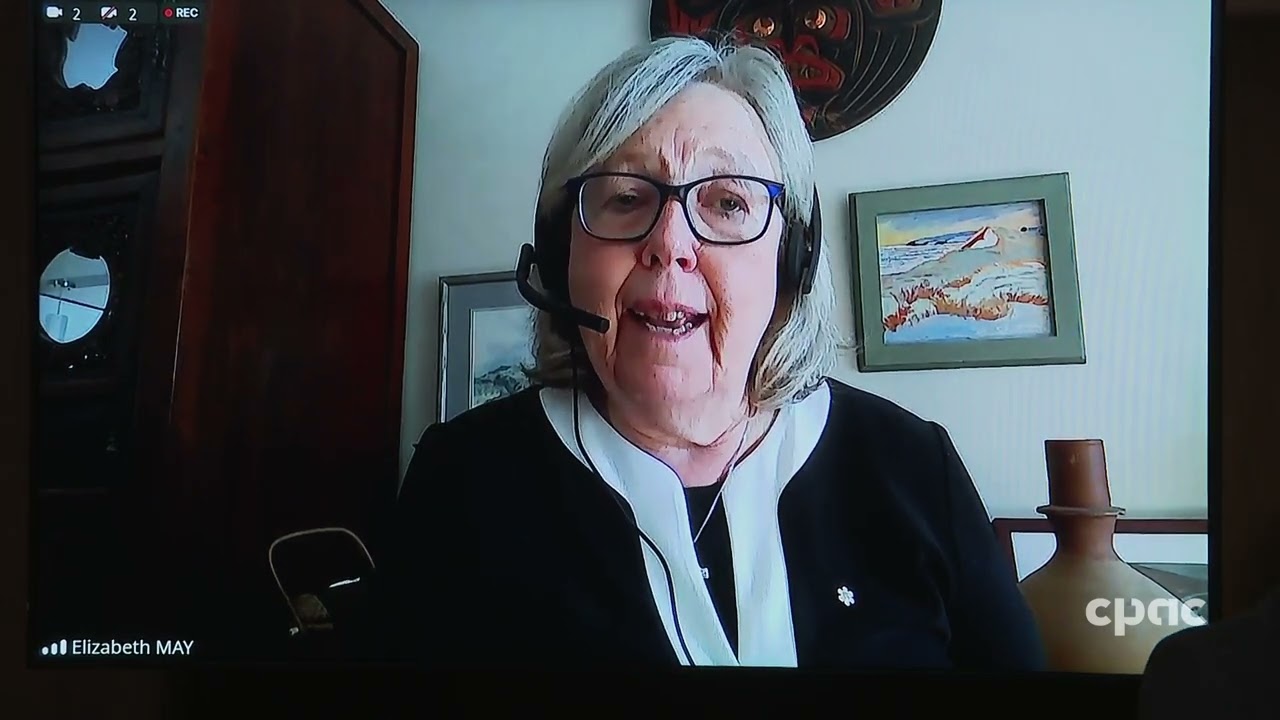 Press conference regarding the Global March to Gaza