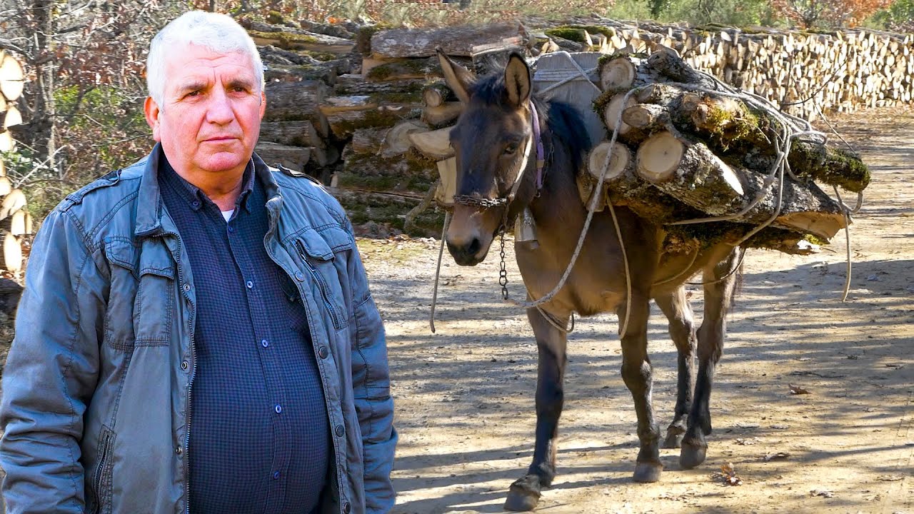 Παραδοσιακή υλοτομία με μουλάρια-Η ζωή στο χωριό | Greek Village Life