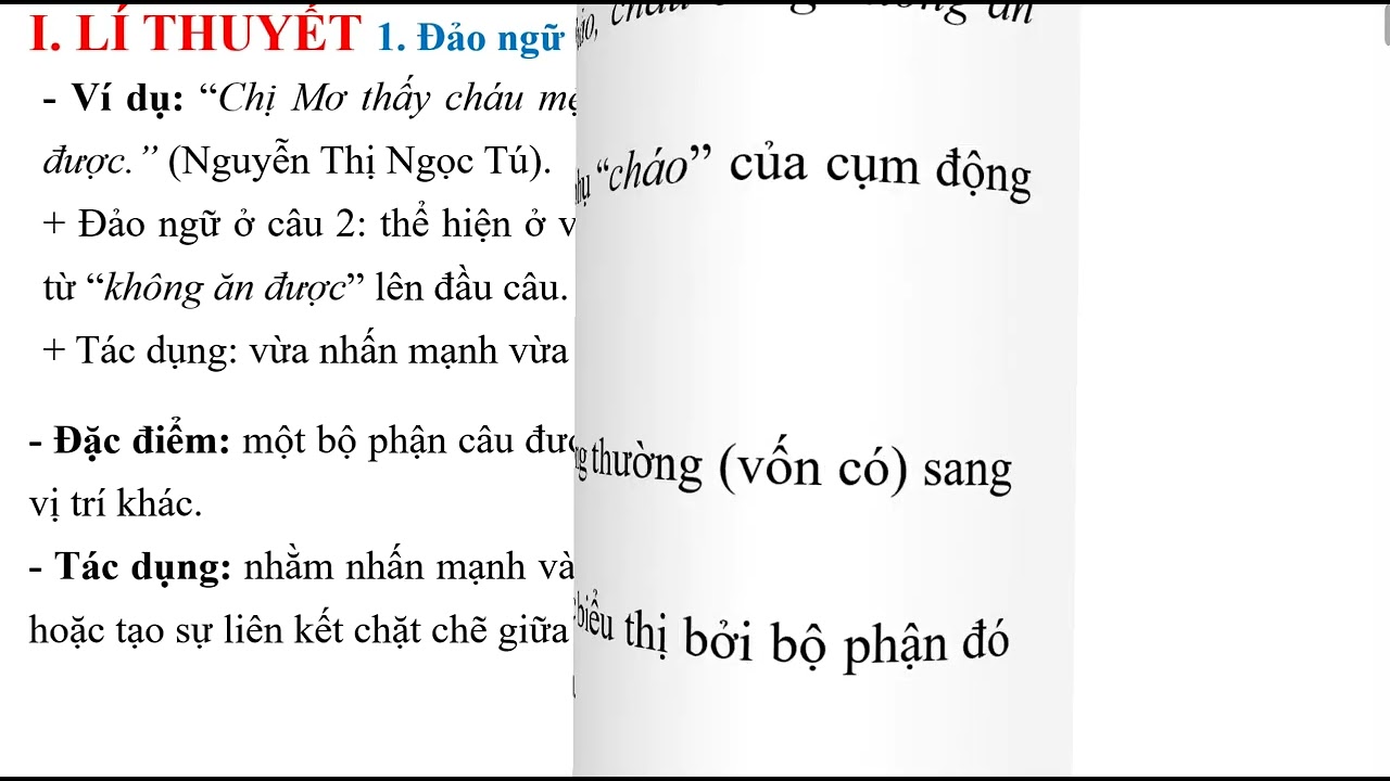 TỪ TƯỢNG HÌNH TỪ TƯỢNG THANH, ĐẢO NGỮ, CHTT