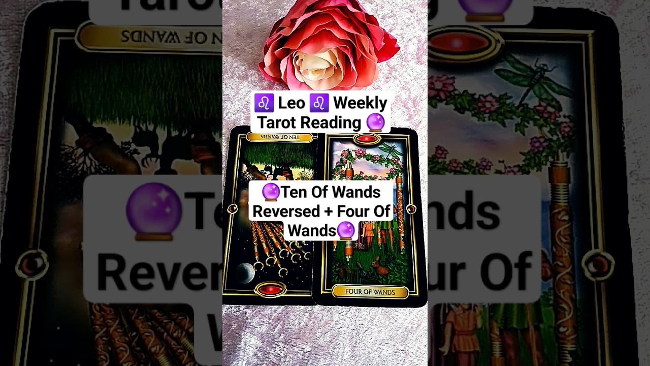 ♌ Leo ♌ Weekly Tarot Reading 9th - 15th October 2023 #weeklytarotreading #tarot #leo