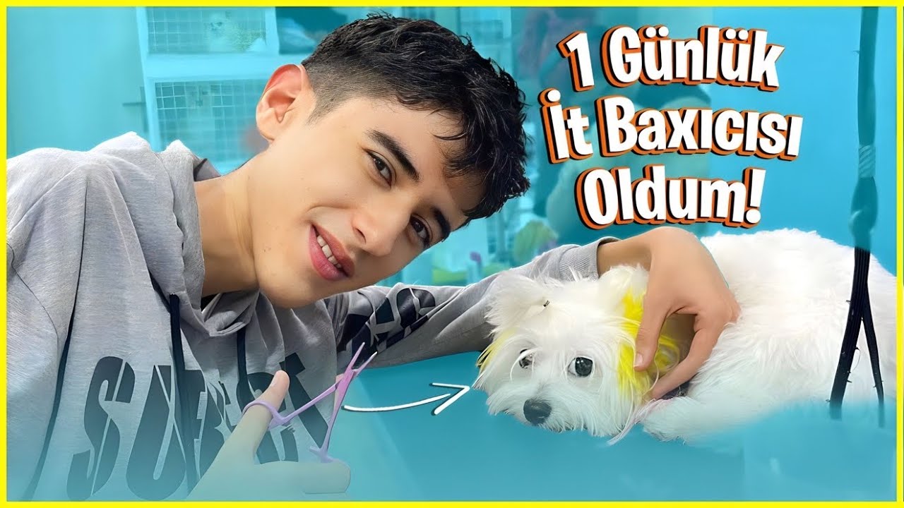 BİR GÜNLÜK İT BAXICISI OLDUM!!