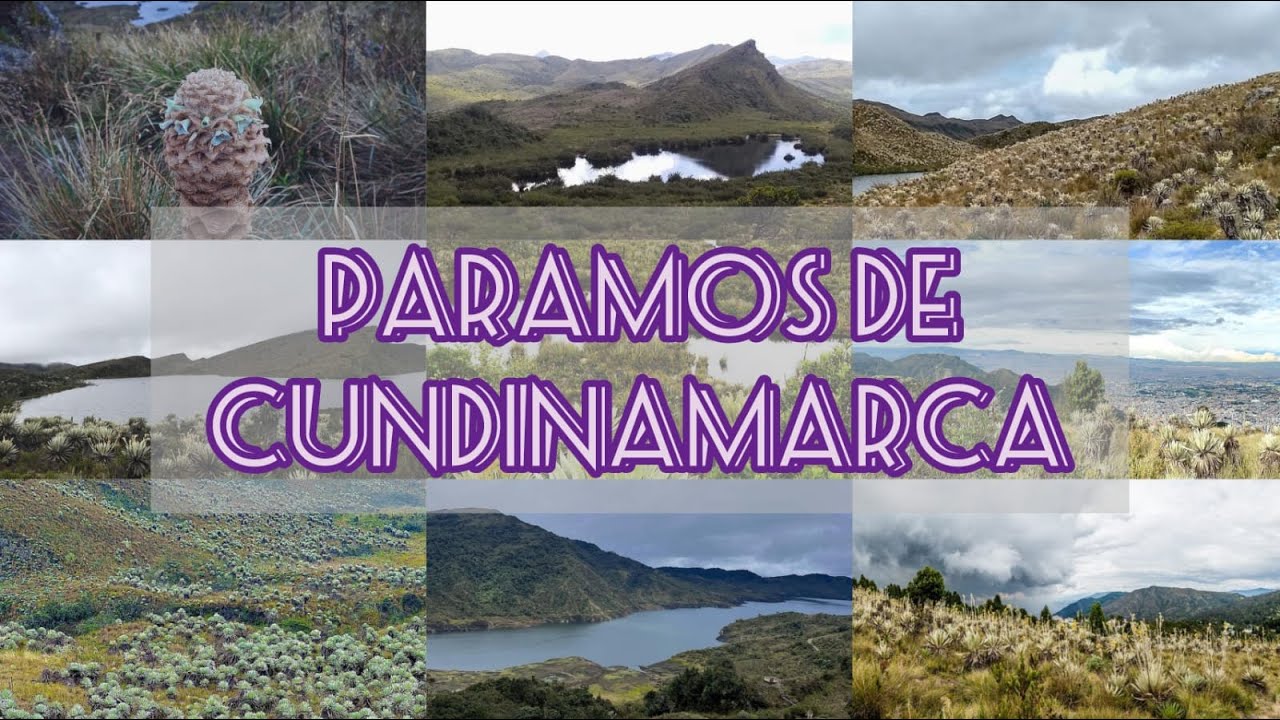 8 PARAMOS QUE DEBES CONOCER EN CUNDINAMARCA