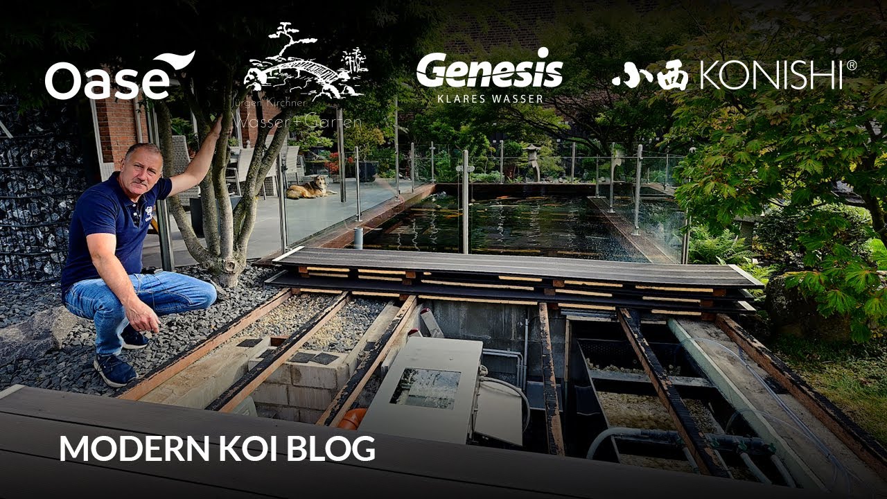 Modern Koi Blog #6167 - Rainers zu kleiner und etwas verbauter Trommelfilter mit zu kleiner Biologie