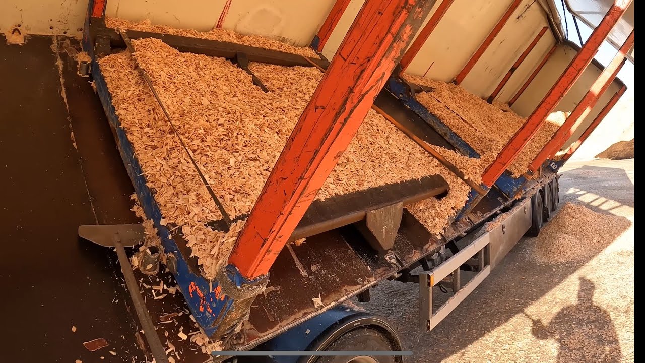 Scania V8 tippar flis med timmerhäckar på flaket.