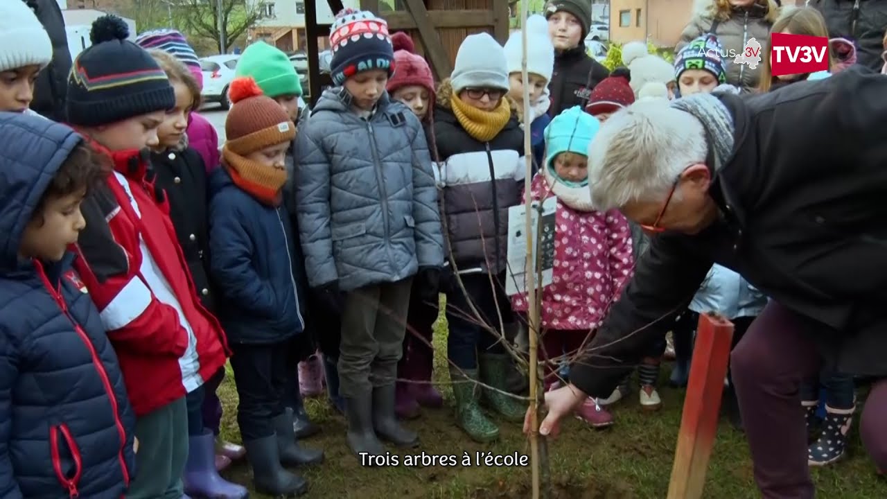 🕯️ Les actus du 19 décembre 2025 🎄