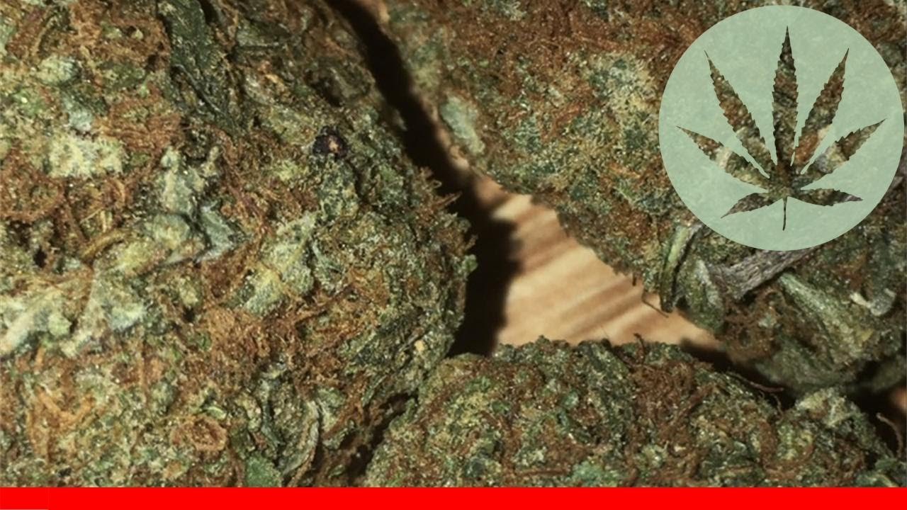 Strawberry Dream - All About This Strain