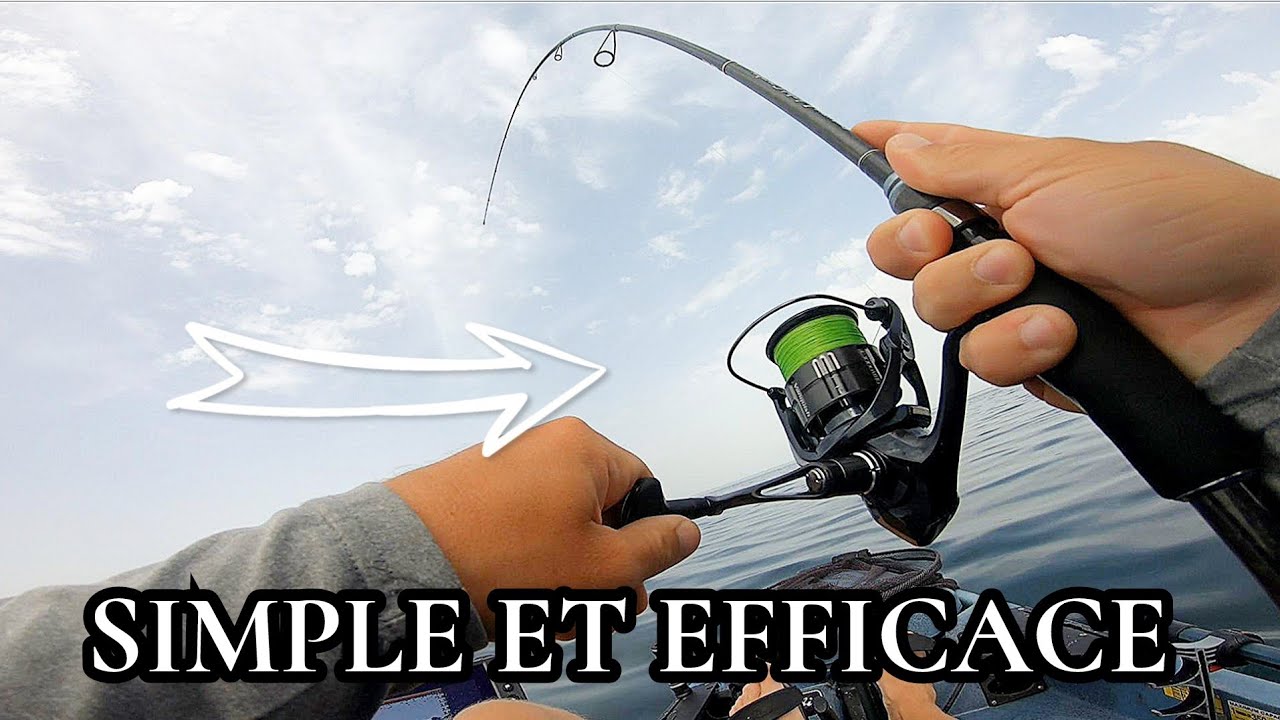 PÊCHE DU BAR SEPTEMBRE 2023