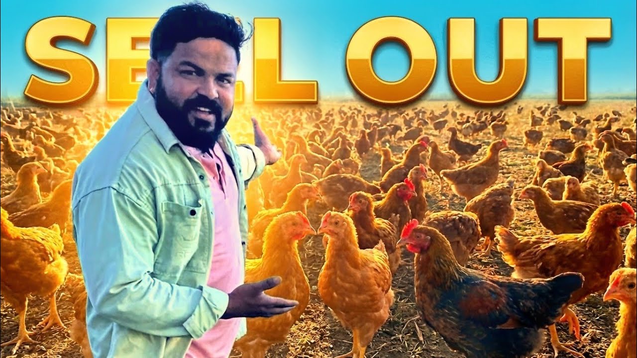 आज मुर्गी बेचकर कितने पैसे मिले? 😱 | Poultry Vlog