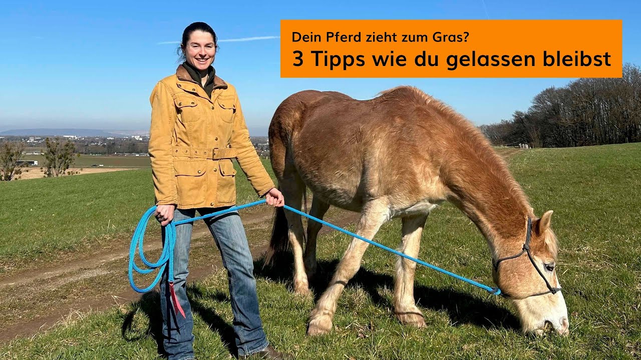 Ärgerst du dich über dein Pferd? 3 Tipps, wie du auch in doofen Situationen gelassen bleibst.