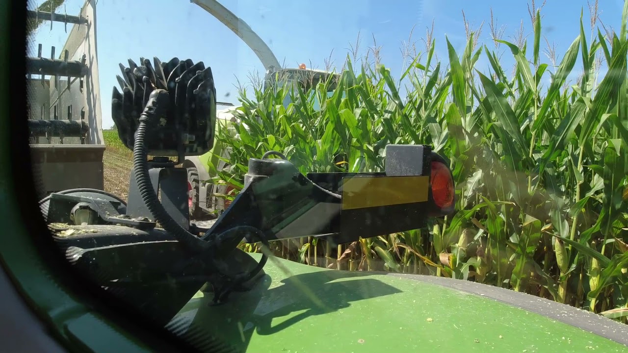 2021 Corn Silage Harvest, A Fendt Operators POV