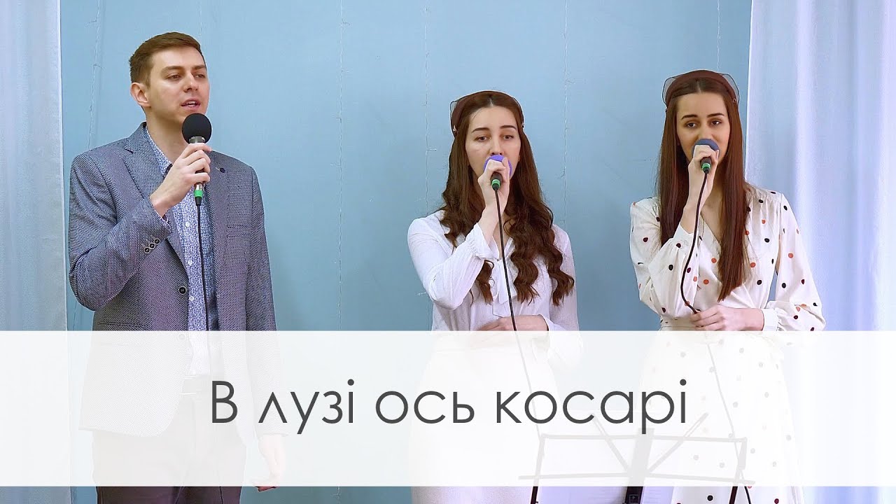 В лузі ось косарі