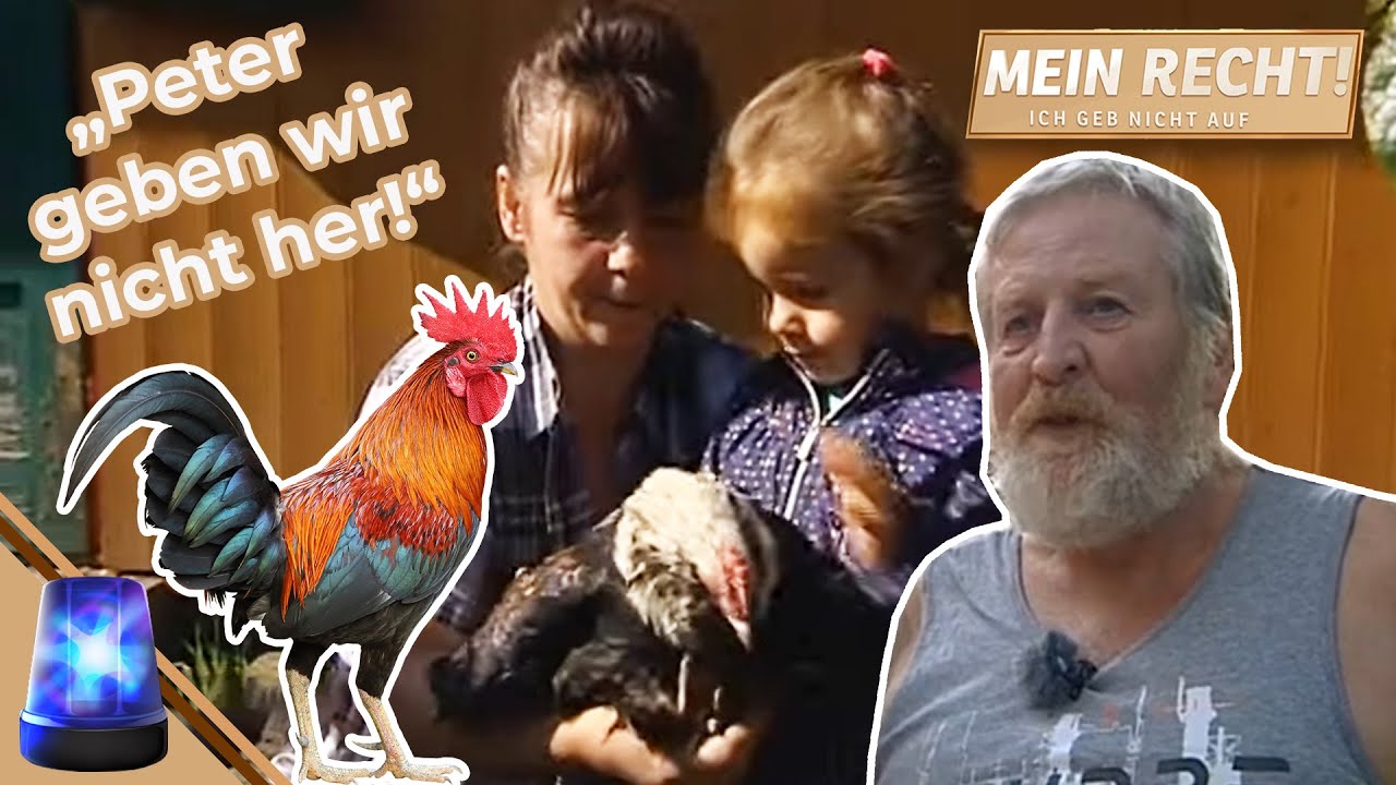 LÄRMBELÄSTIGUNG durch HAHN Peter?🐓 Am Gartenzaun eskaliert es! | Mein Recht! Ich geb nicht auf | ATV