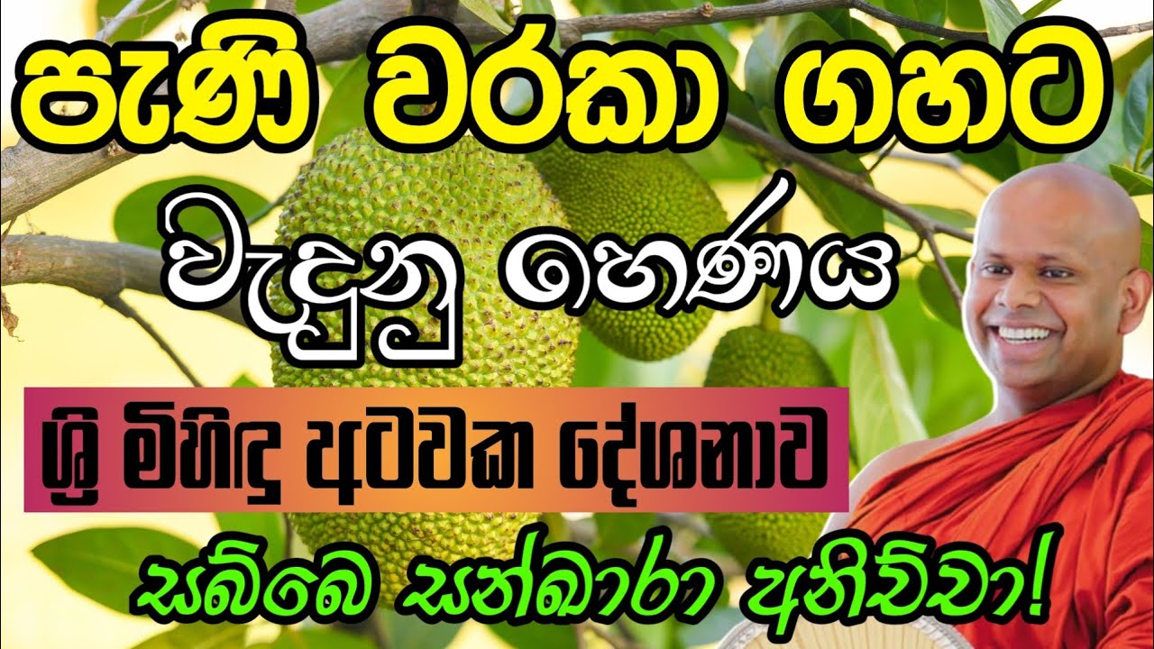 සබ්බෙ සන්ඛාරා අනිච්චා! |Welimada saddhaseela thero | සද්දාසිල හිමි🙏💐🙏