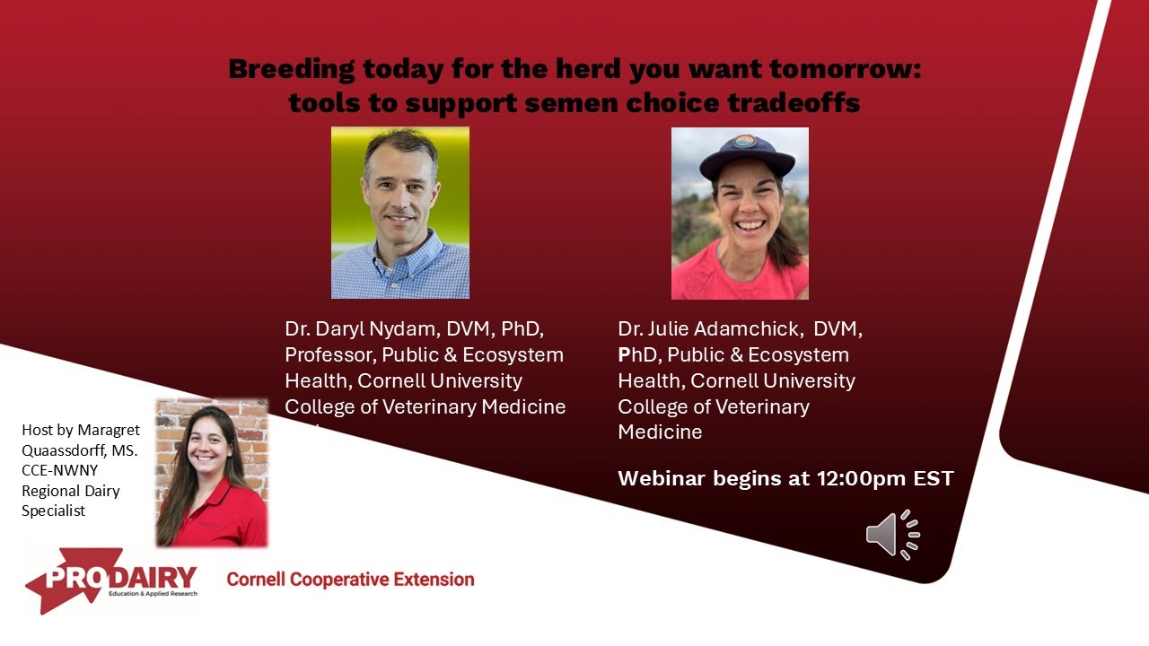 Boots in the Barn: Research Updates Cornell.  Breeding today for the herd you want tomorrow.