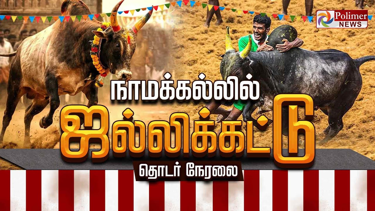அதிமுக சார்பில் நடைபெறும் ஜல்லிக்கட்டு போட்டி தொடங்கி வைத்த EPS | Namakkal Jallikattu