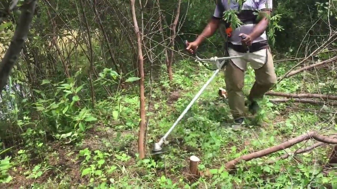 Roçadeira Stihl FS 220 servindo como motosserra - Espetáculo!