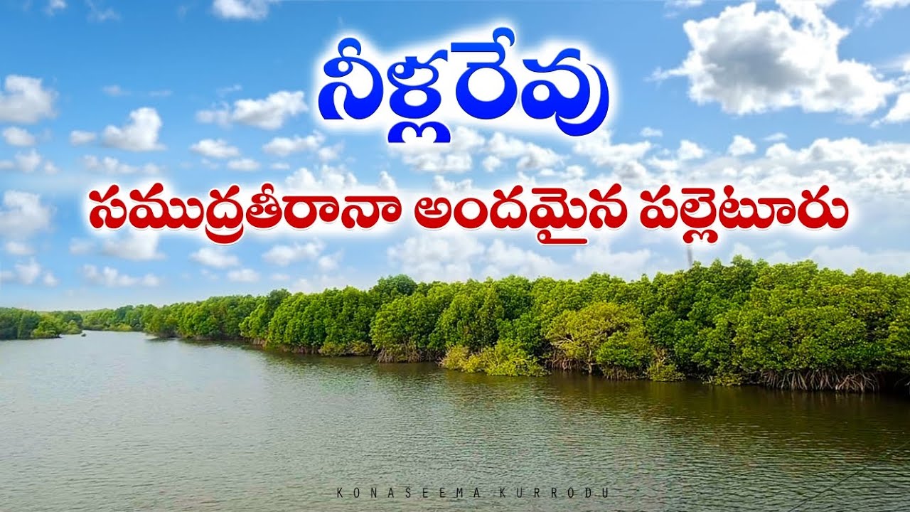 సముద్రతీరానా అందమైన పల్లెటూరు//నీళ్లరేవు// [neellarevu iland]