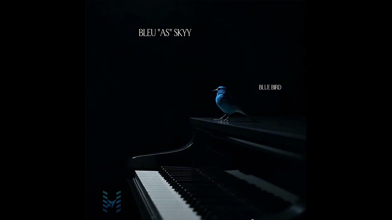 Bleu AS Skyy - Top Down