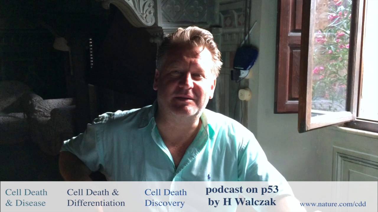 Henning Walczak: a personal view on the death receptor patway