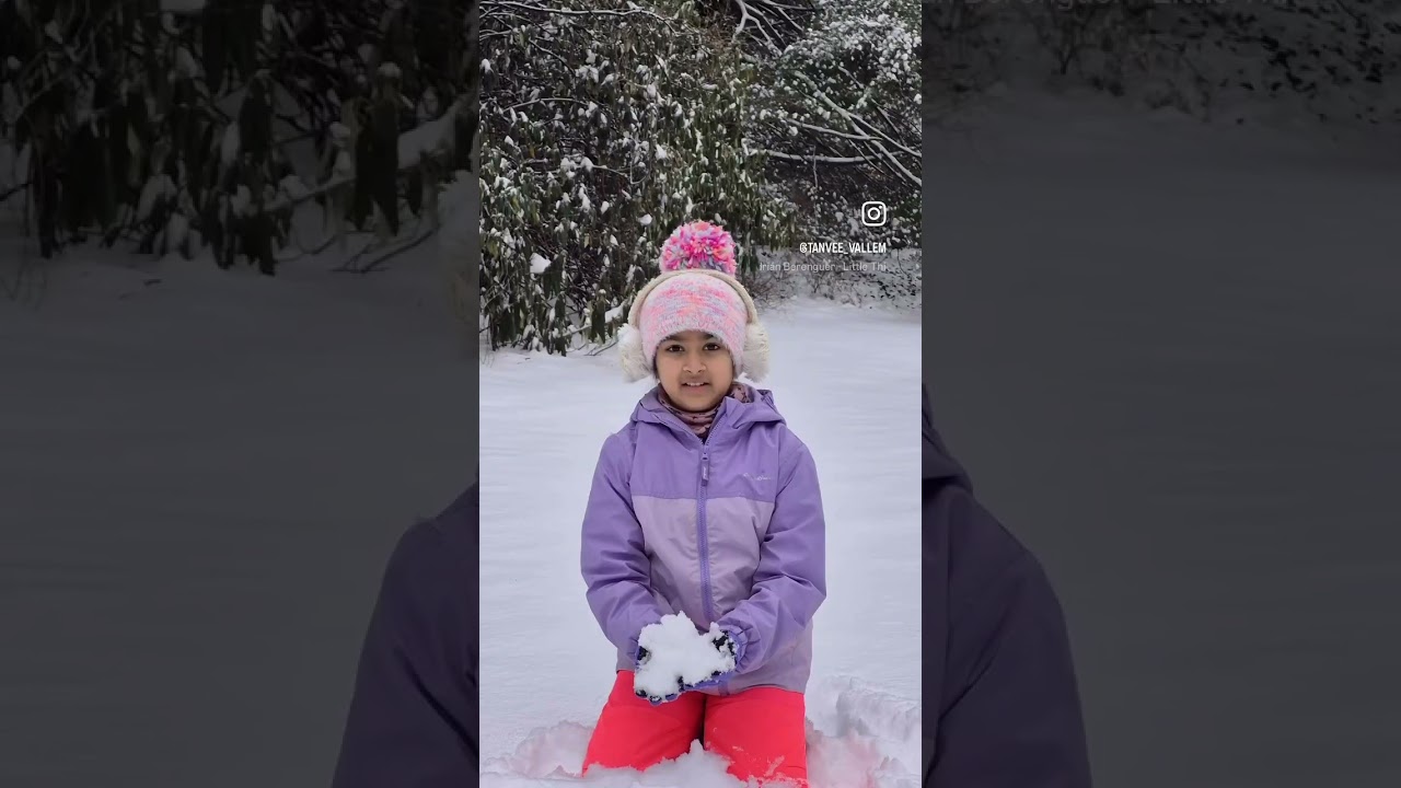 Snow Days! ☃️