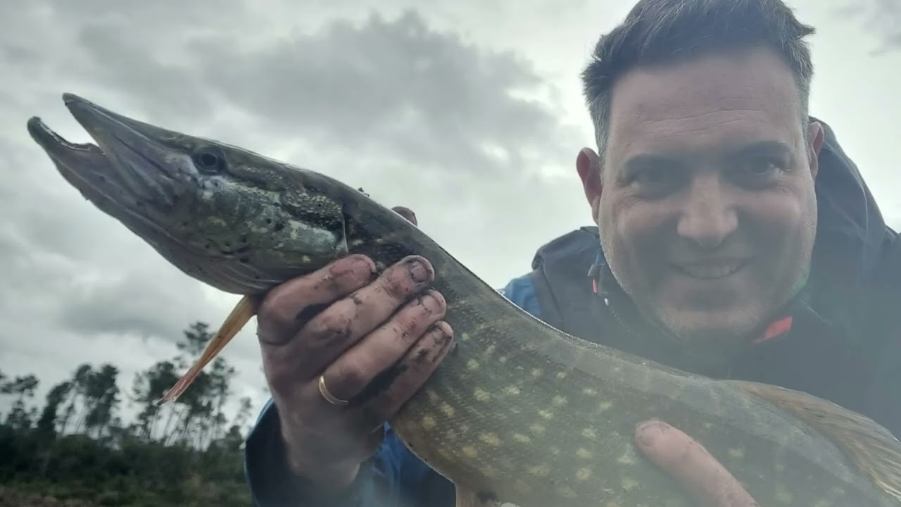PESCA ao LÚCIO REAL desde a margem