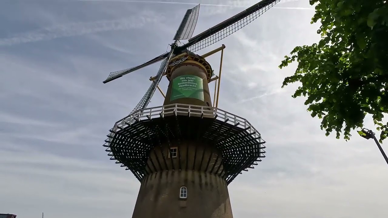 Delfshaven 2023 wandeling