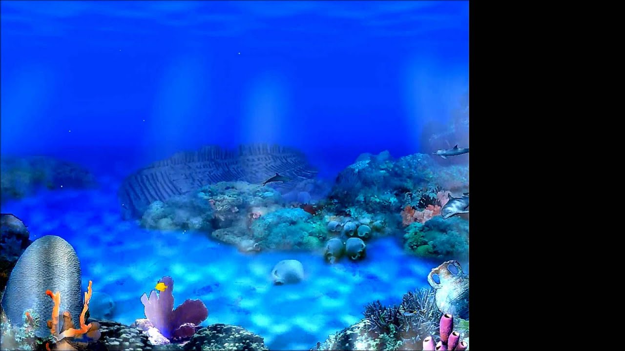 Living 3D Dolphins Screensaver