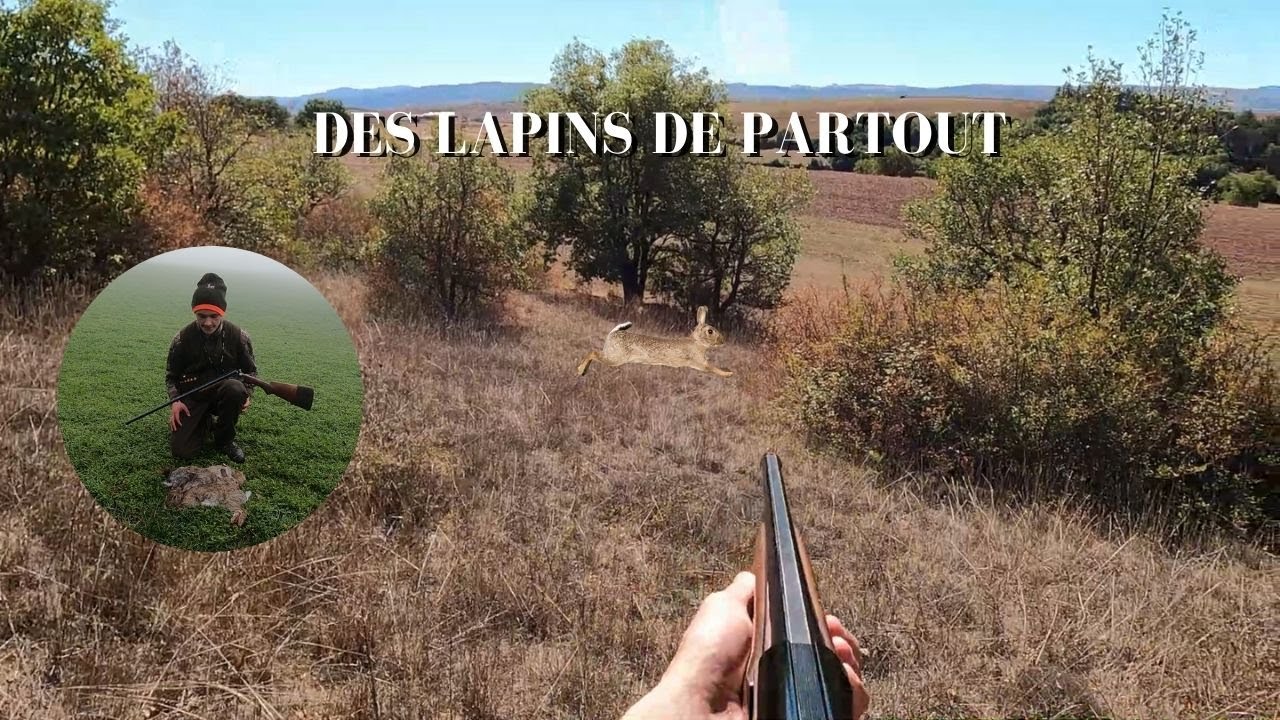 CHASSE AUX LAPINS 2022 - Compilation de tirs (4K)