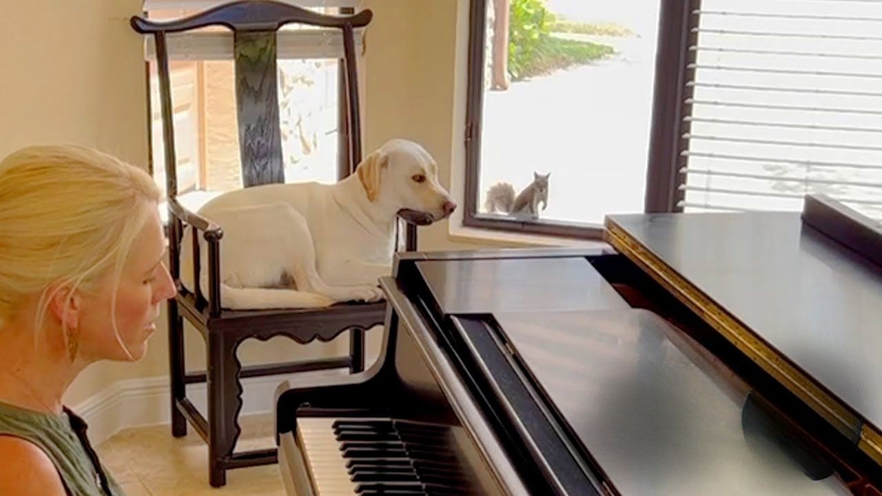 У этой белки и собаки самая милая дружба.