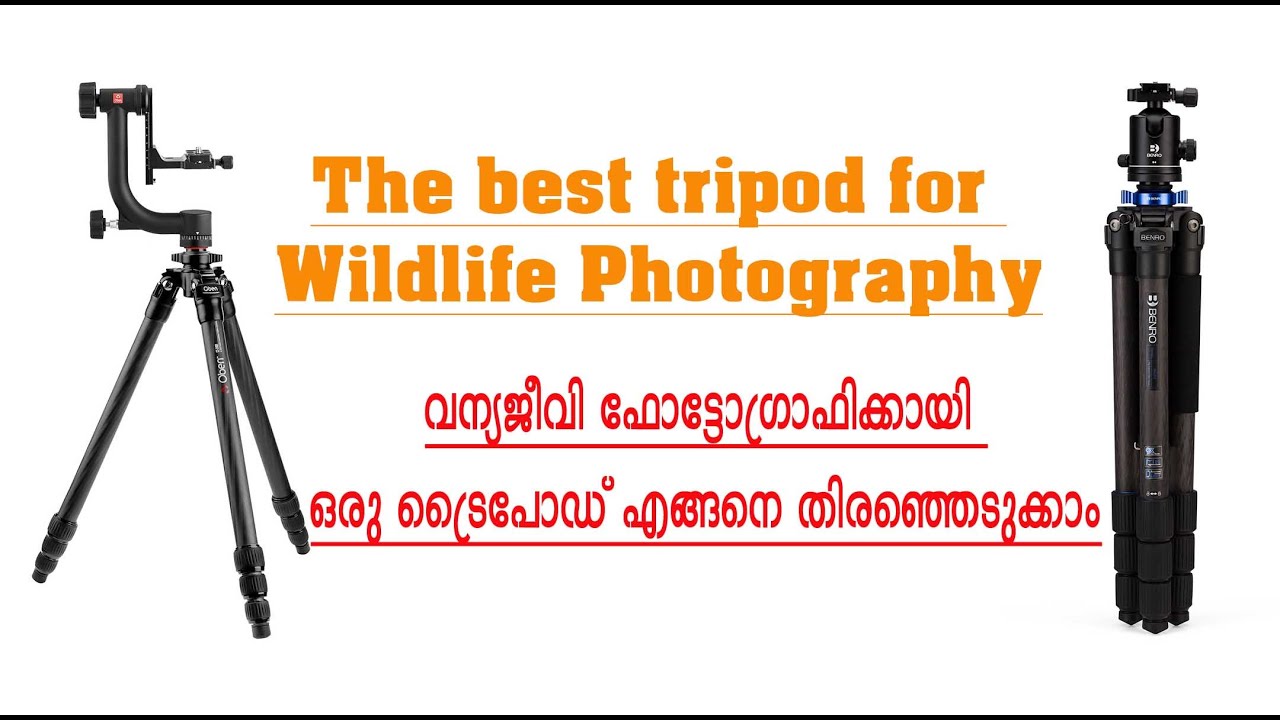 Best Tripod for Wildlife Photography|Tripod Head for Wildlife Photography|Ballhead  Gimbal Videohead