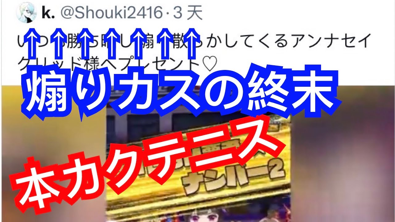 【白猫テニス】🎾本カクテニス無理ゲー チームレート煽りプレイヤーにタワーレート貢献してた 🤡煽りカスの終末🤡