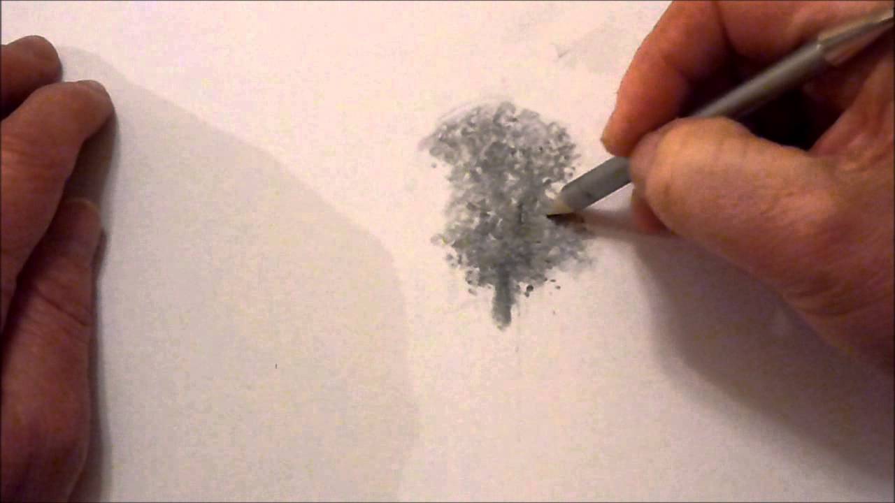 How to draw trees with graphite powder and pencils