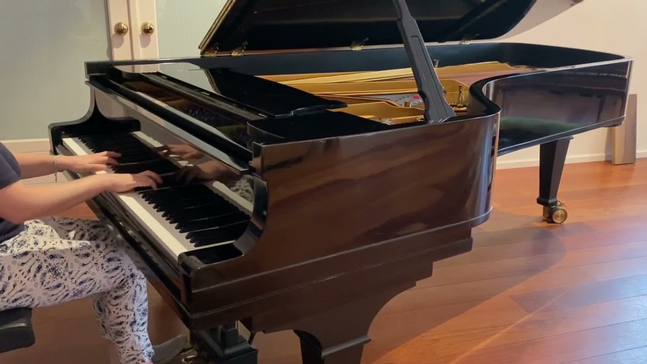 Snapshot   Brahms Steinway