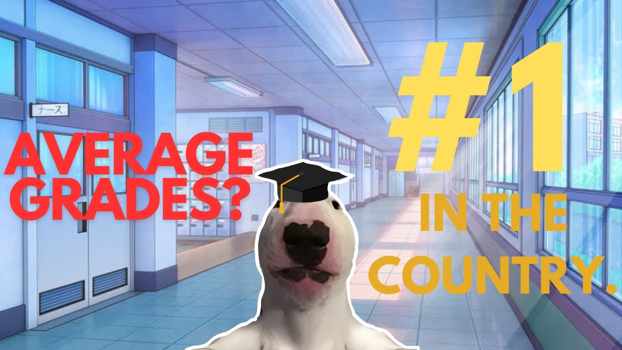How I Got Into the #1 Public University as an Average Student.
