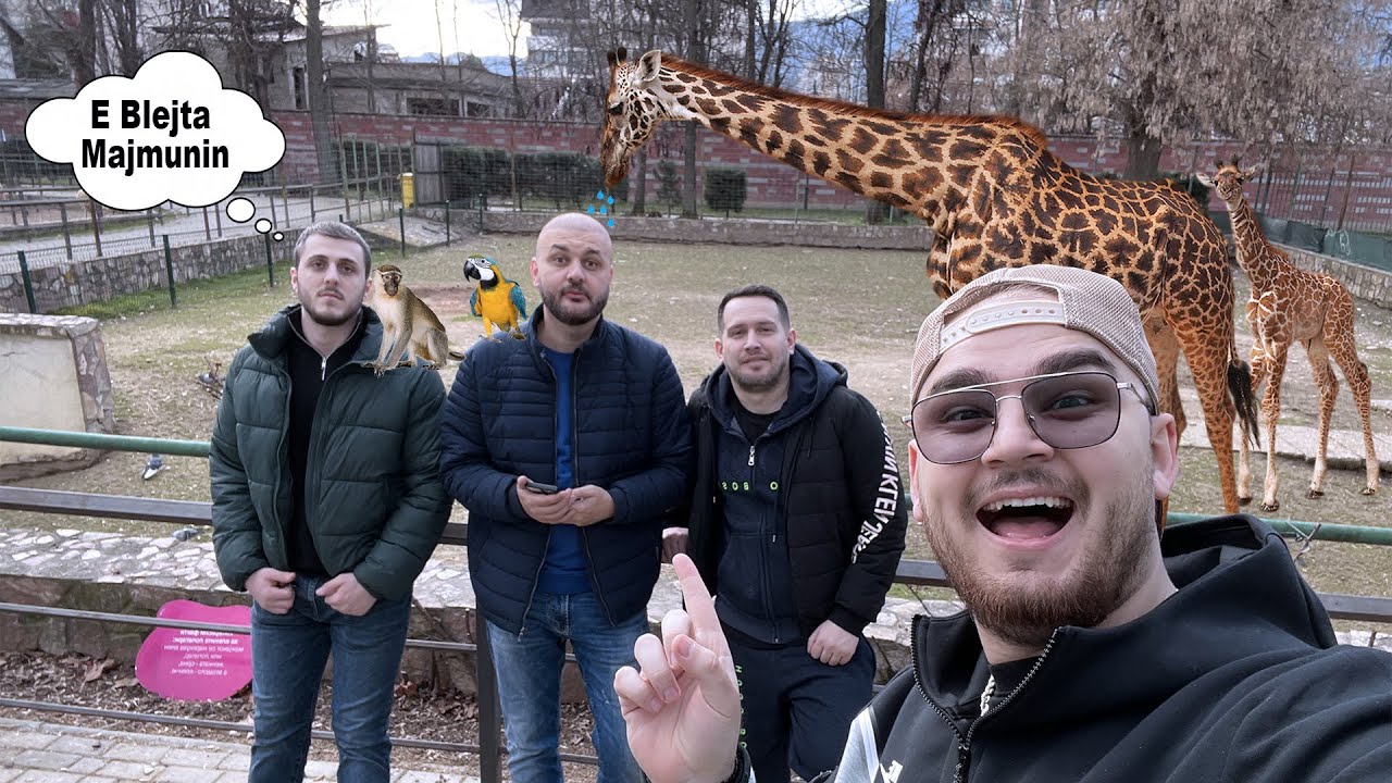 I takova shoket e ngushte ne Kopshtin ZOOLOGJIK