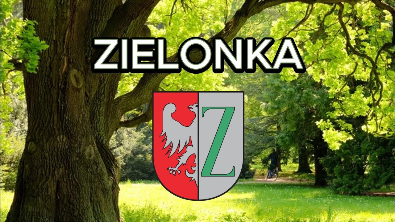 Zielonka - miasto, kt&oacute;re warto odwiedzić