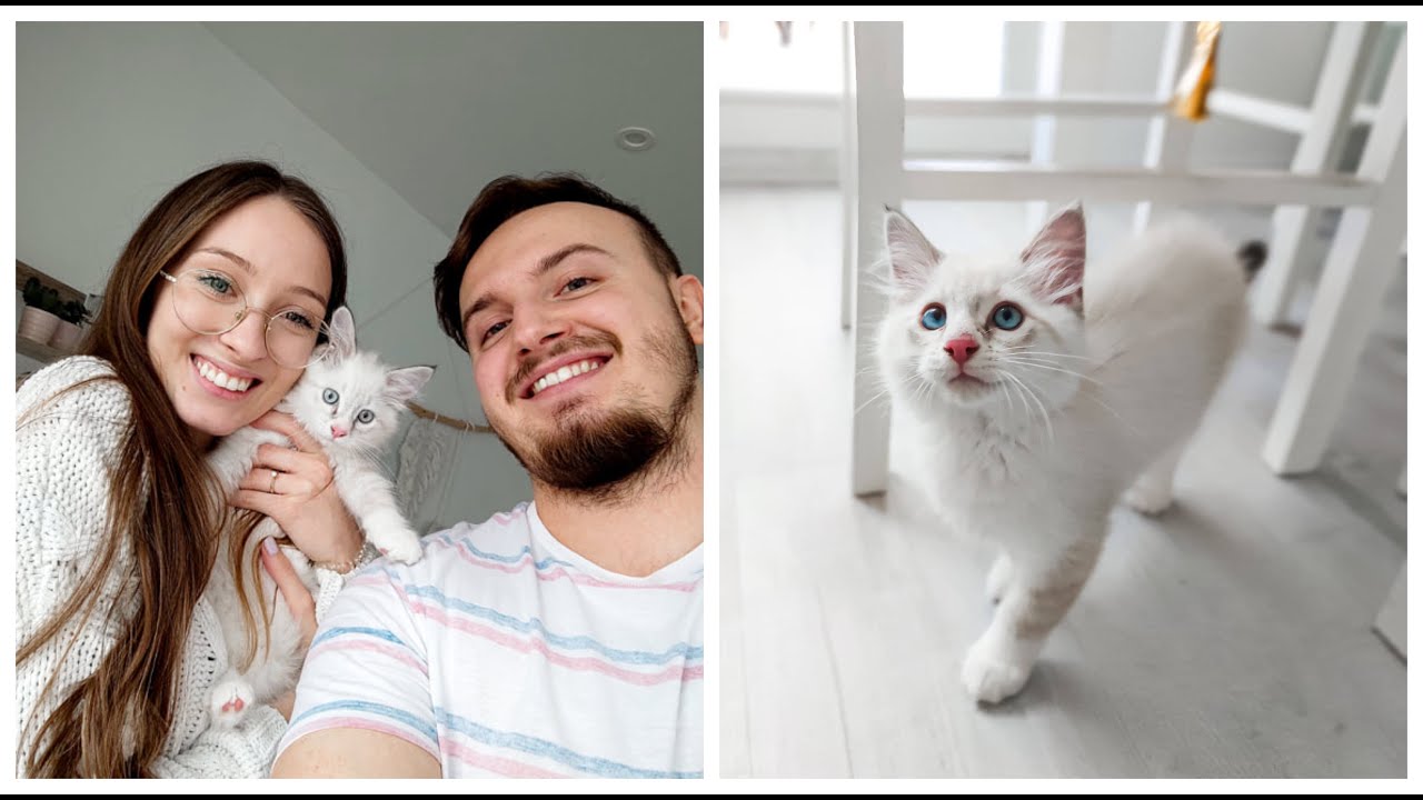 NOWY CZŁONEK RODZINY!