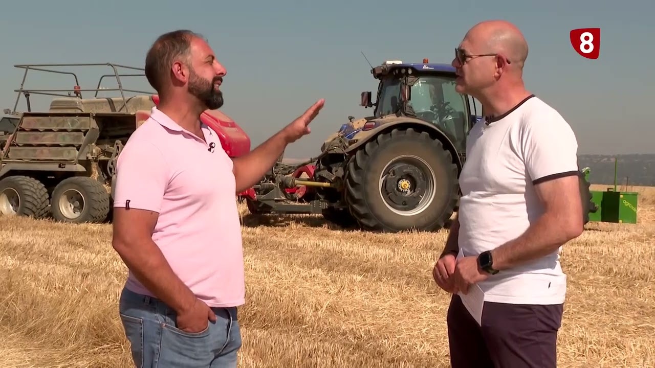 LA ABUNDANCIA DE PAJA HUNDE SU PRECIO - Campo Salmantino, 21 de Julio de 2025