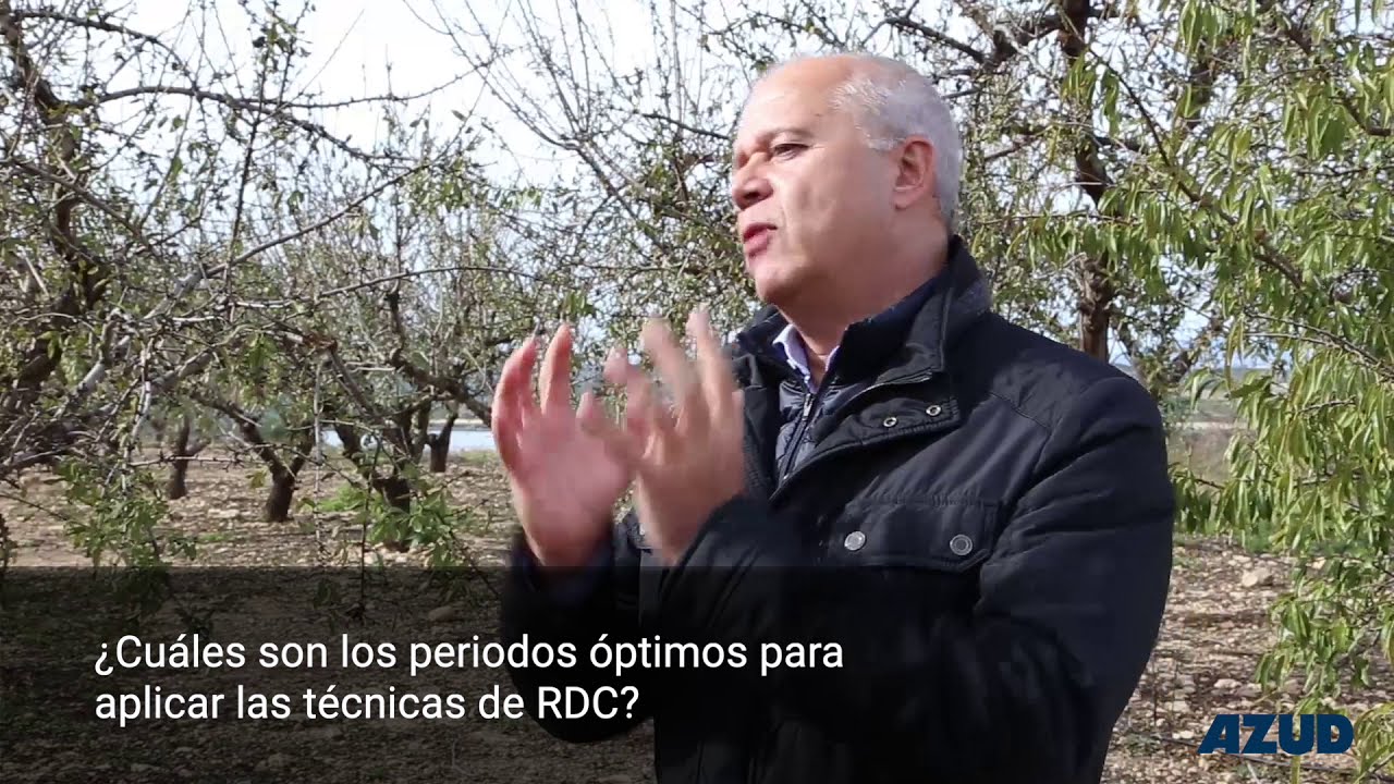 Riego deficitario controlado en almendro [Entrevista Federico Dicenta grupo CEBAS-CSIC, 3/7]