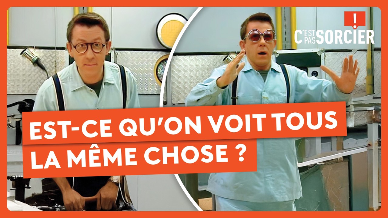 Est-ce qu’on voit tous la même chose ? - C'est pas sorcier